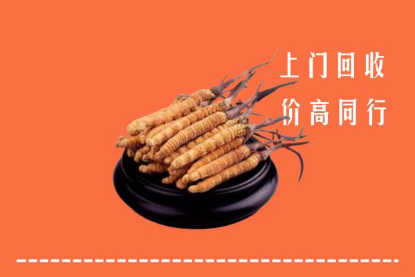 高价求购：广元回收散虫草