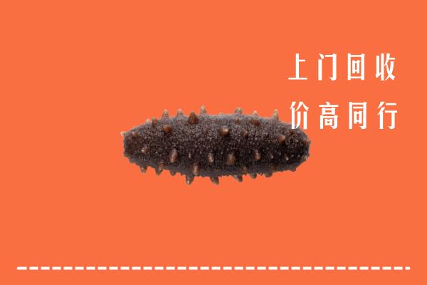 高价求购：广元回收海参