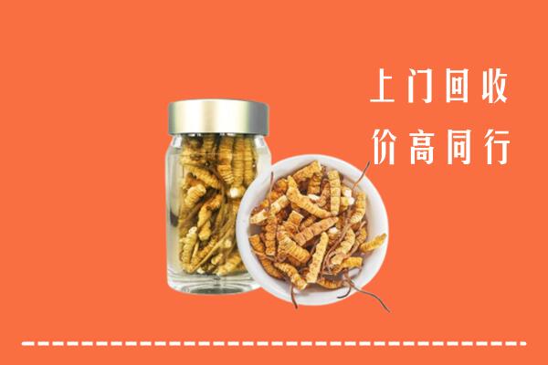 广元高价回收冬虫夏草